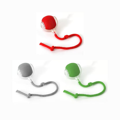 🐱🎁Neue heiße Verkäufe🐶Intelligenter automatischer rollender Haustierball