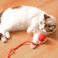 🐱🎁Neue heiße Verkäufe🐶Intelligenter automatischer rollender Haustierball
