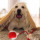 🐱🎁Neue heiße Verkäufe🐶Intelligenter automatischer rollender Haustierball